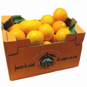 Caja de 10 kilos de Naranjas